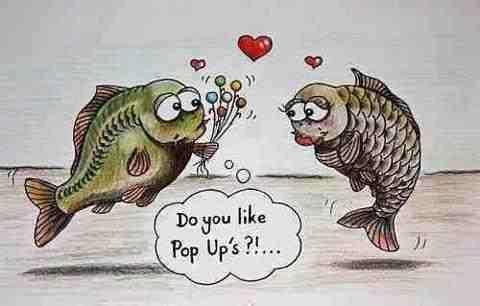 dupa net adunate - 5601663397034061398491762114226n.jpg